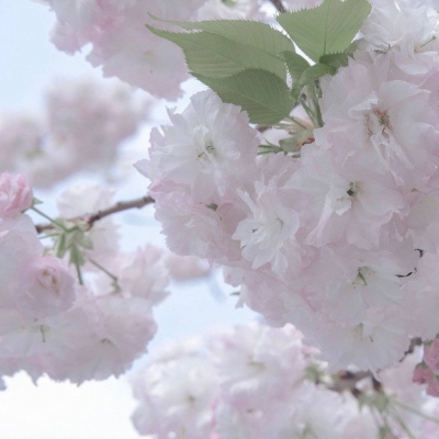 兽设冰雪元素设计福瑞交流群